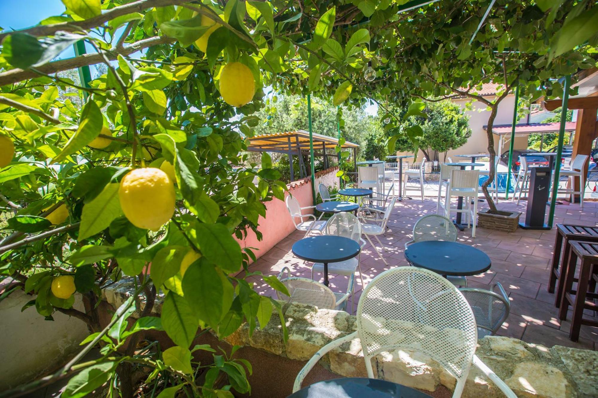 Villa Monsena Ρόβινι Εξωτερικό φωτογραφία